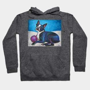 Boston Terrier with Toy Hoodie